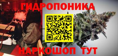 дживик Бийск