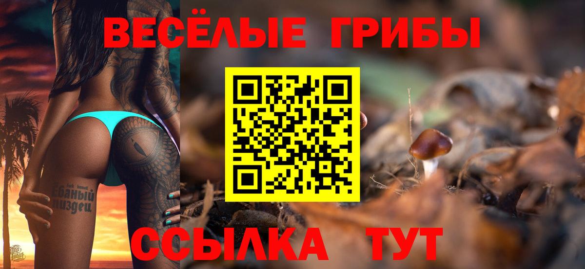 Камышин  Галлюциногенные грибы прущие грибы  Вход с VPN 