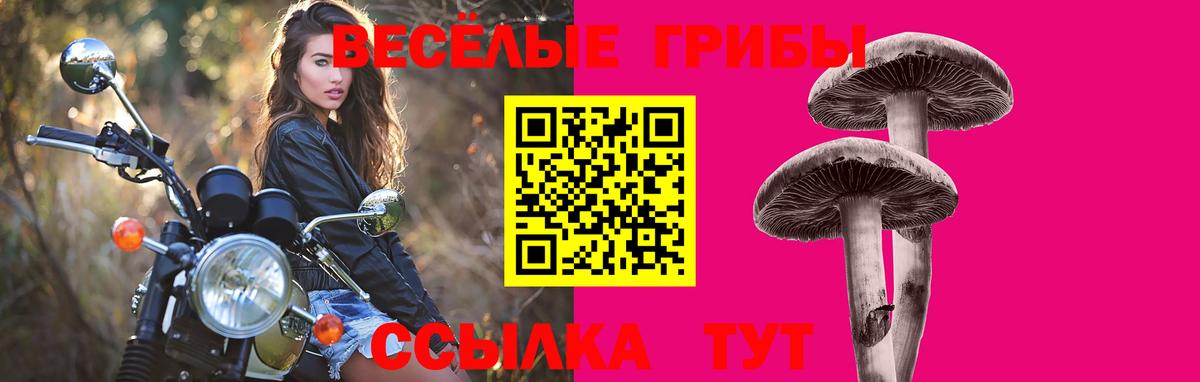 Псилоцибиновые грибы прущие грибы Камышин